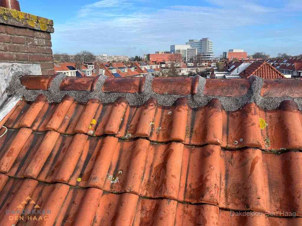 Denhaag Daken Renoveren Denhaag Daken Renoveren