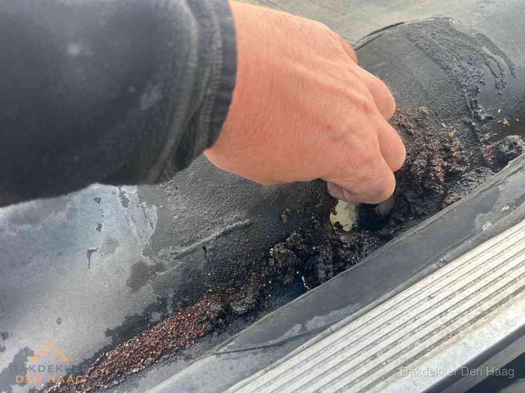 Plat Dak Reparatie Denhaag Plat Dak Reparatie Denhaag
